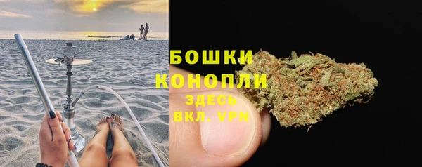 spice Ладушкин