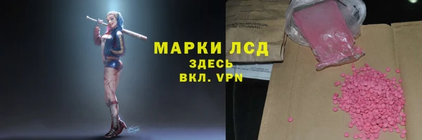 PSILOCYBIN Лабытнанги