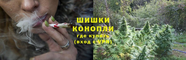 прущий лед Краснослободск