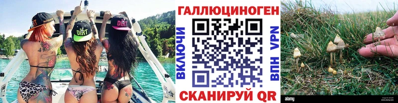 Псилоцибиновые грибы Psilocybine cubensis  Медвежьегорск 