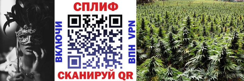 Канабис сатива  Медвежьегорск 